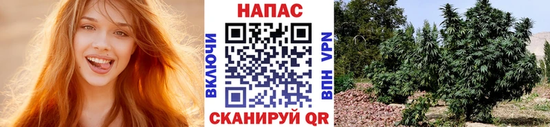 Наркота Красково А ПВП  АМФЕТАМИН  Марихуана 