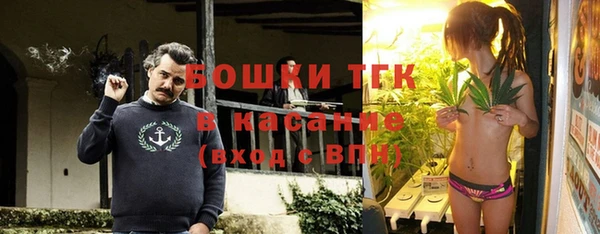 твердый Алзамай