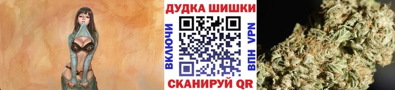 купить   Красково  Бошки марихуана THC 21% 